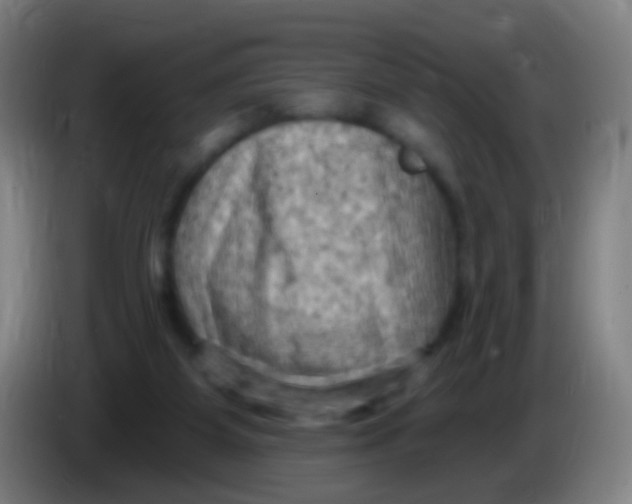 X0000085320115200703302053