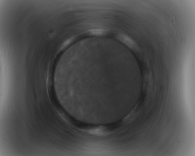 X0000085320116200703302053