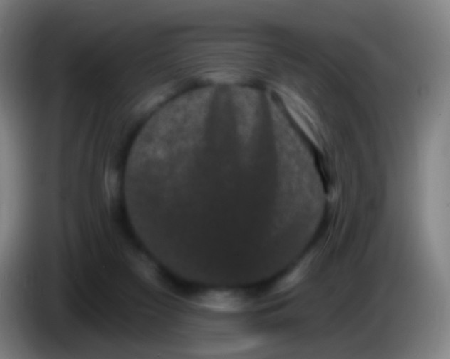 X0000085320117200703302053
