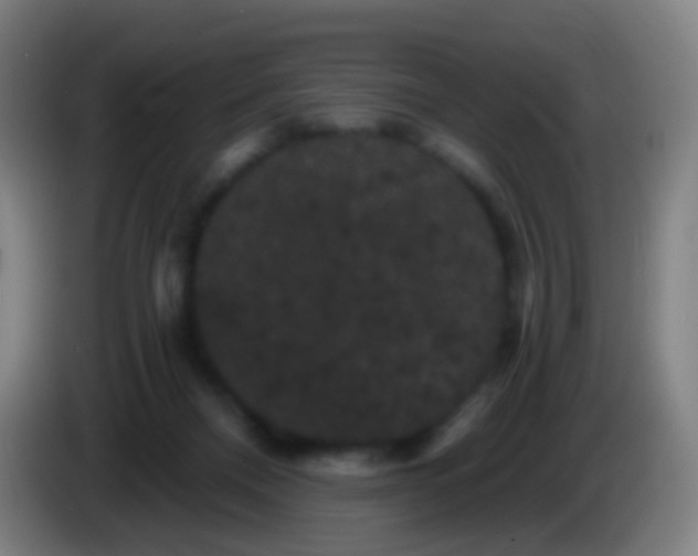 X0000085320120200703302053