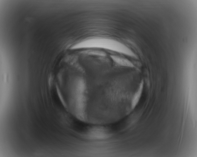 X0000085320123200703302053