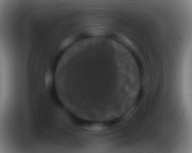 X0000085320124200703302053