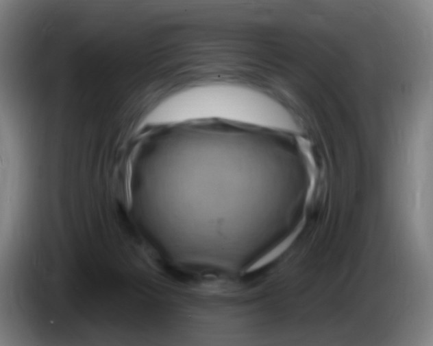 X0000085320125200703302053