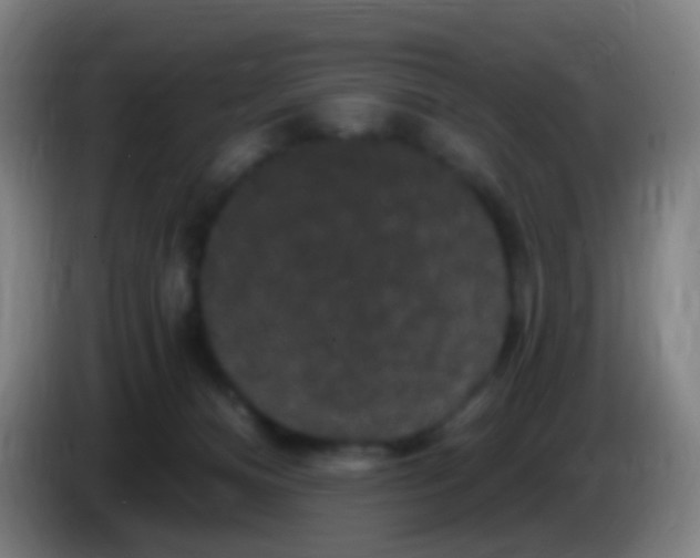 X0000085320128200703302053