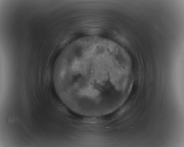 X0000085320131200703302053