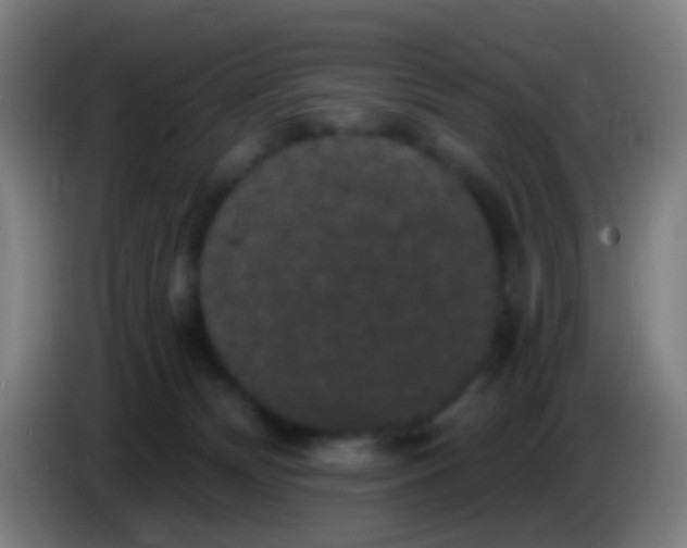 X0000085320132200703302053