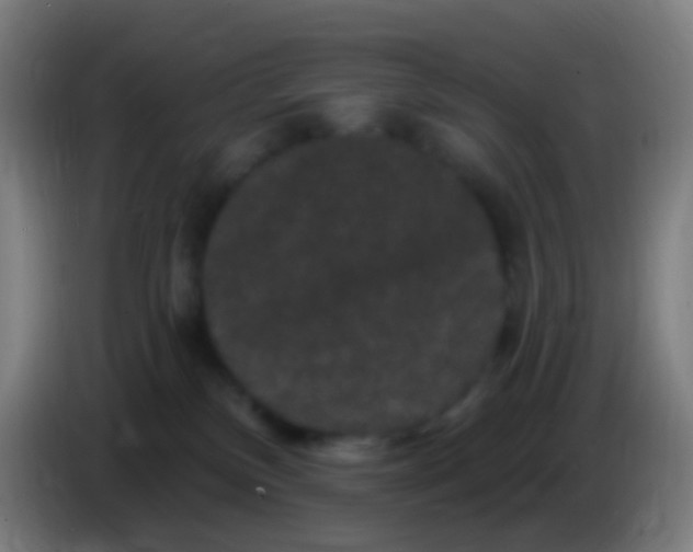 X0000085320136200703302052