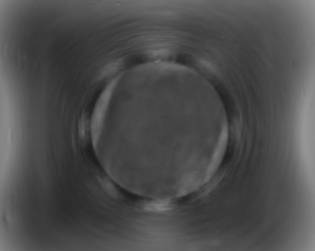X0000085320138200703302052