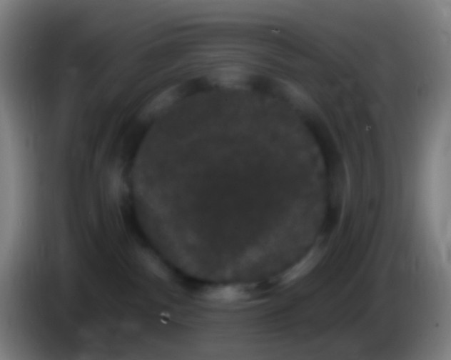 X0000085320140200703302052