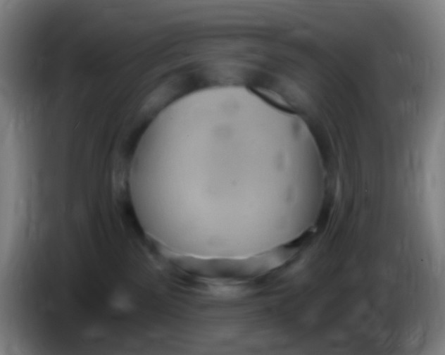 X0000085320141200703302052