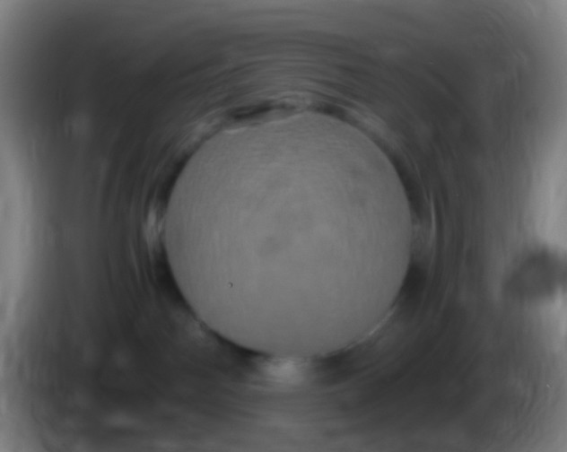 X0000085320142200703302052