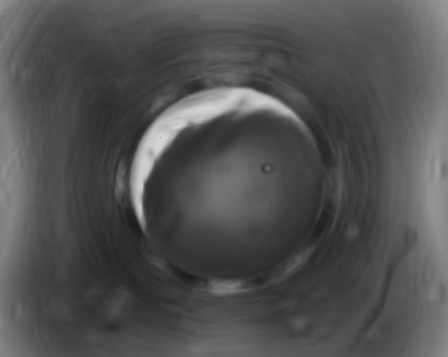 X0000085320143200703302052