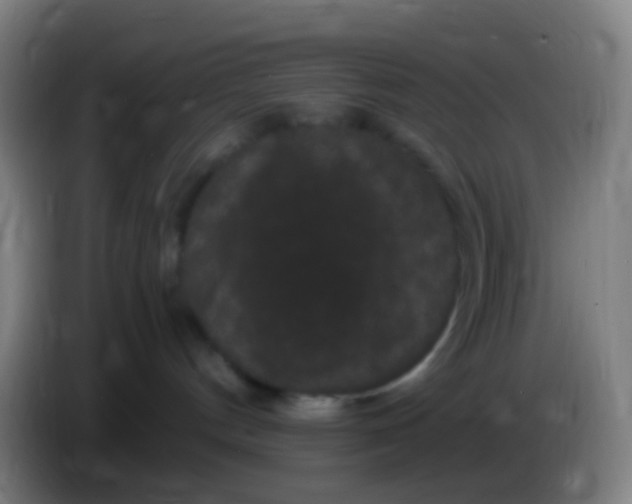 X0000085320144200703302052