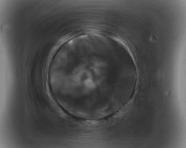 X0000085320145200703302052