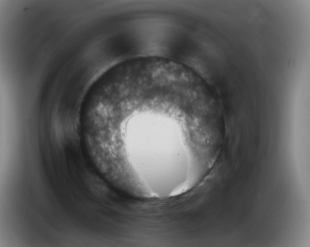 X0000085320146200703302052