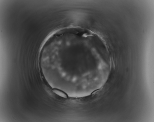 X0000085320147200703302052