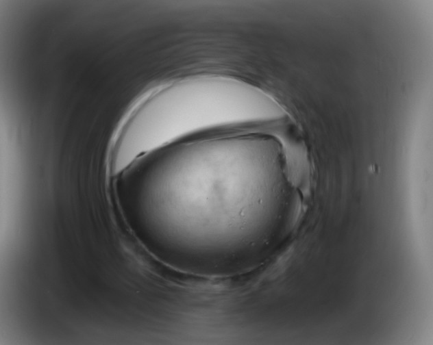 X0000085320148200703302052