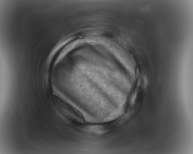 X0000085320150200703302052