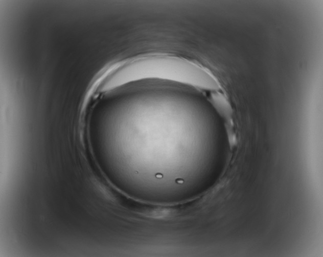 X0000085320152200703302052