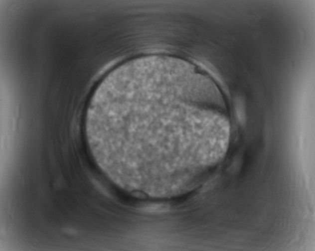 X0000085320155200703302052
