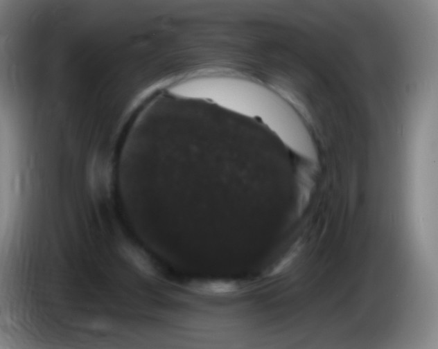 X0000085320156200703302052