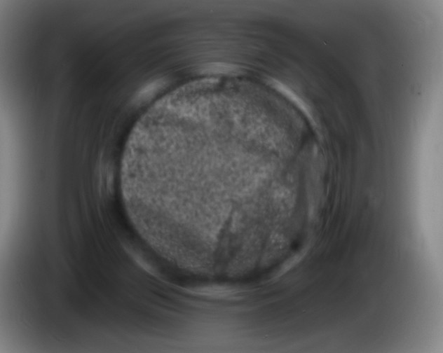 X0000085320157200703302052