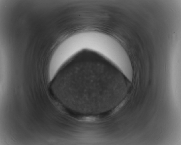 X0000085320158200703302052