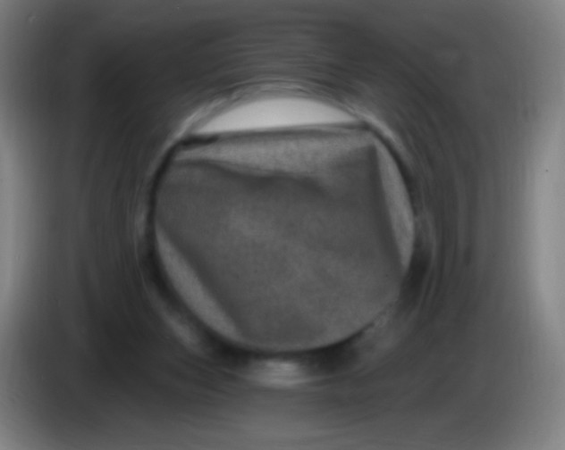 X0000085320159200703302052