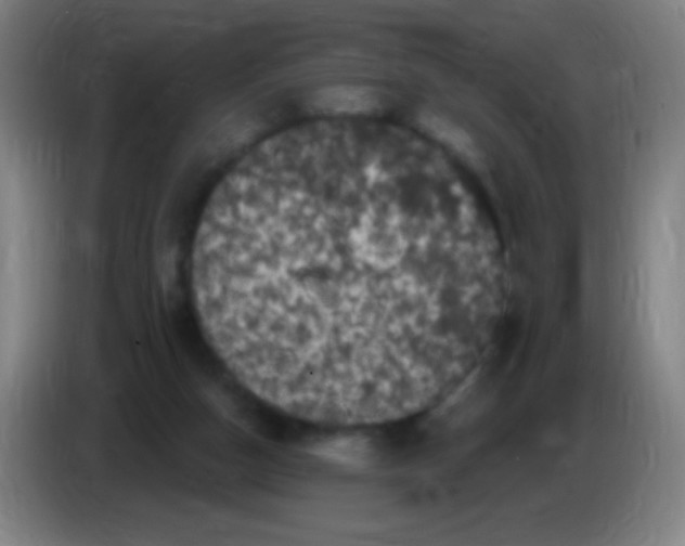X0000085320162200703302052
