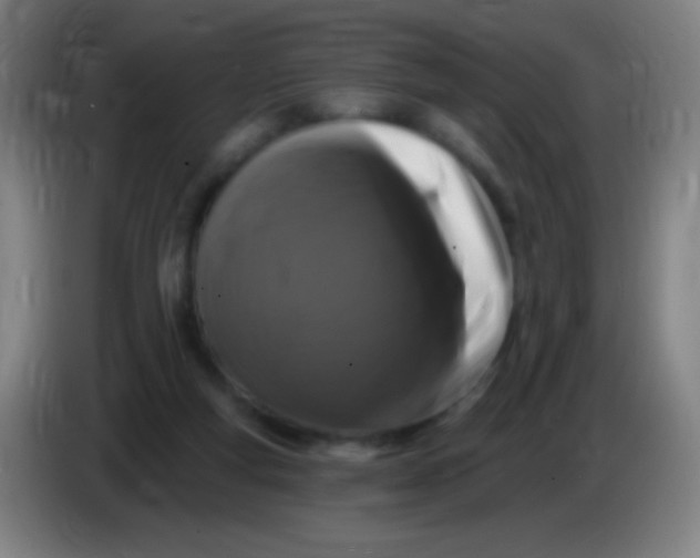 X0000085320163200703302052