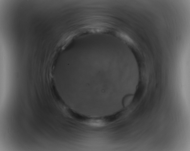 X0000085320169200703302052