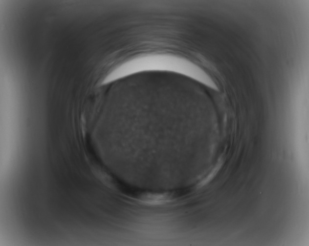 X0000085320170200703302052