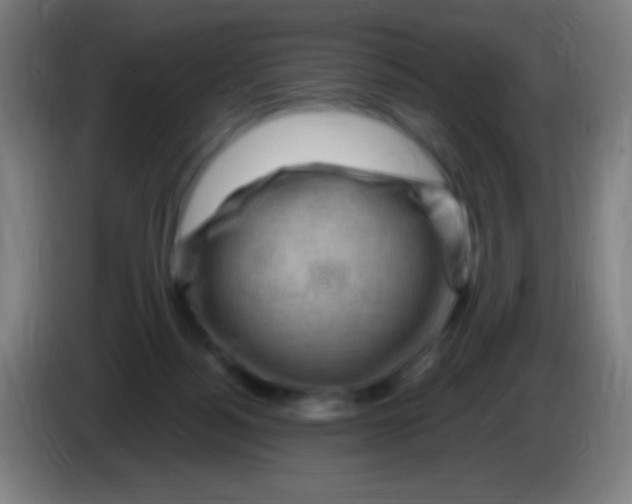 X0000085320172200703302052