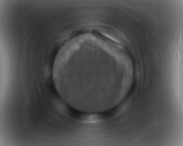 X0000085320173200703302052