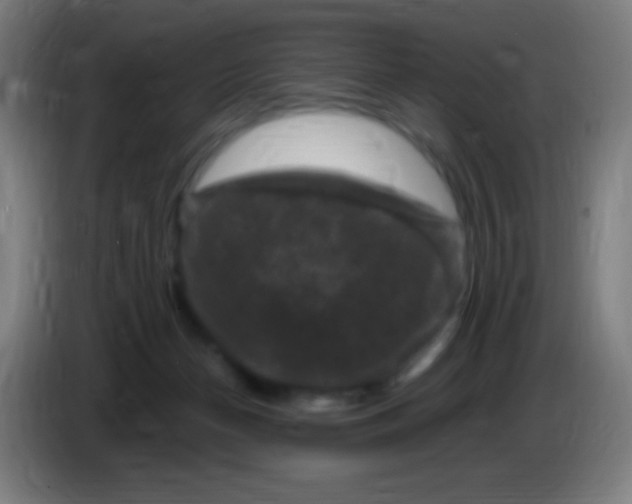 X0000085320174200703302052