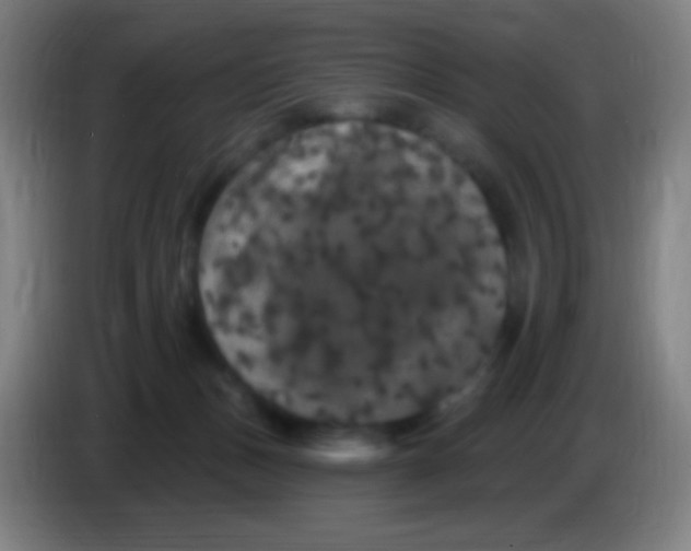 X0000085320175200703302052