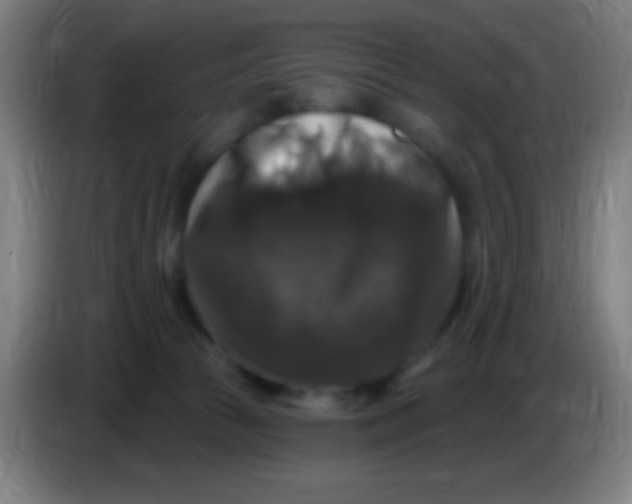 X0000085320177200703302052