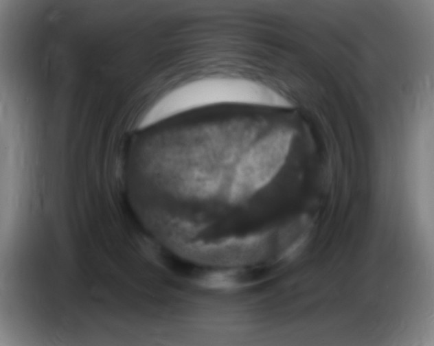 X0000085320178200703302052