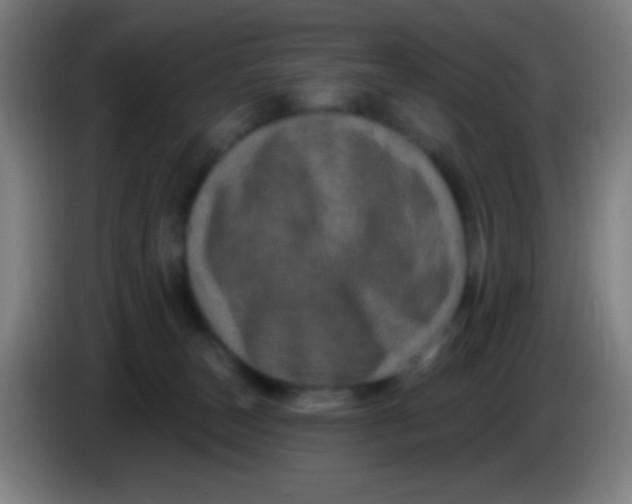 X0000085320179200703302052