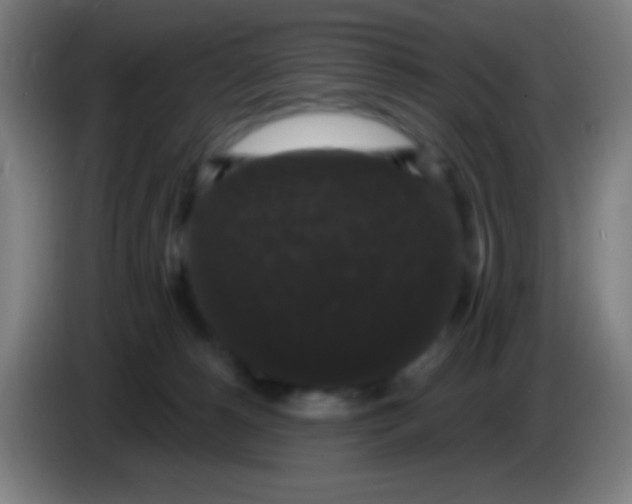 X0000085320180200703302052