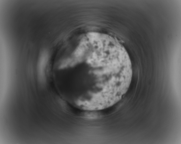 X0000085320181200703302052
