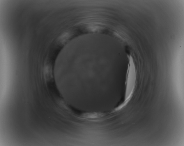 X0000085320182200703302052