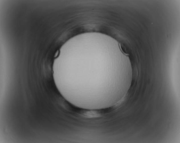 X0000085320183200703302052