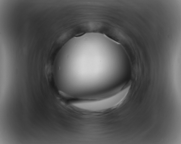 X0000085320184200703302052