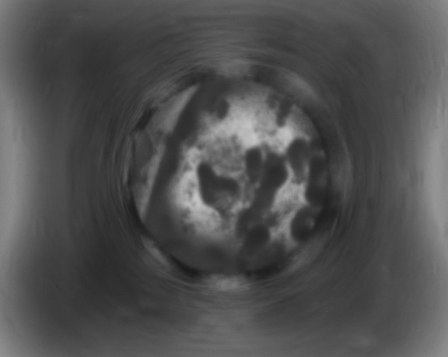 X0000085320185200703302052