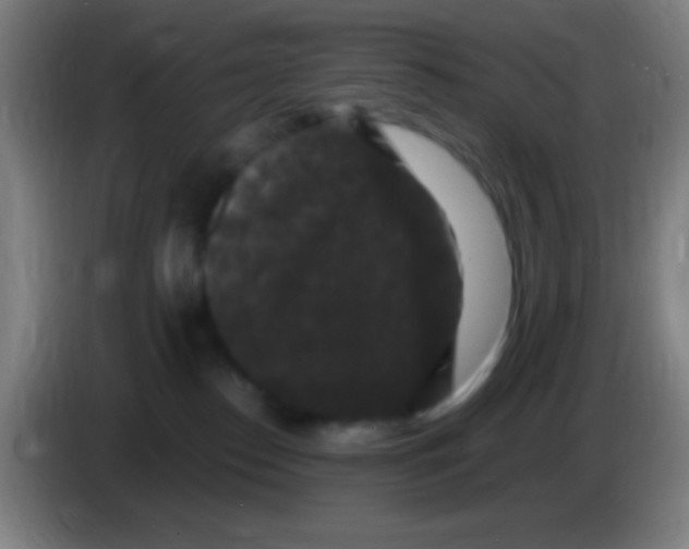 X0000085320186200703302052