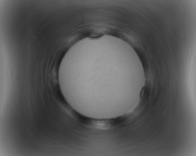X0000085320187200703302052