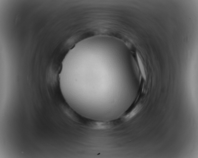 X0000085320188200703302052