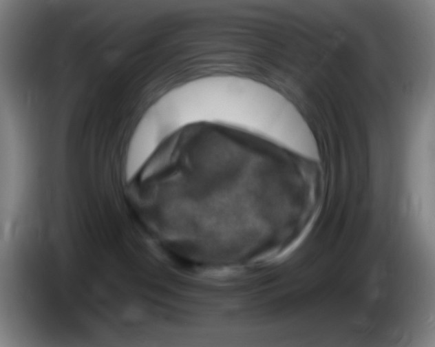 X0000085320190200703302052