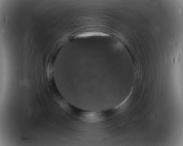 X0000085320191200703302052